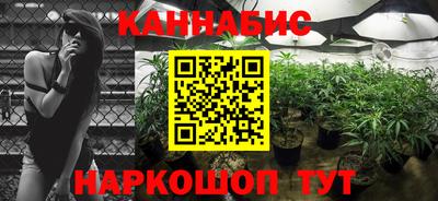 стаф Донецк